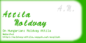 attila moldvay business card